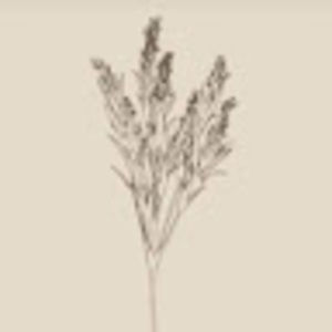 Meet your Posher, Savannah